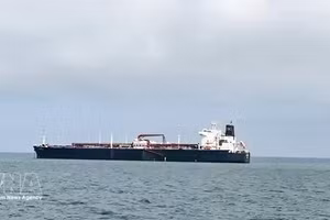 附图。（图片来源：越通社）