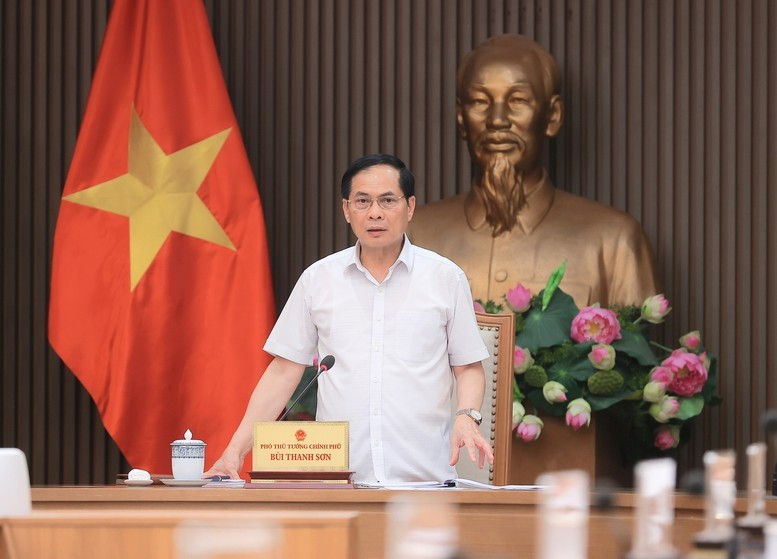 越南政府副总理兼外长裴青山主持会议。（图片来源：baochinhphu.vn）