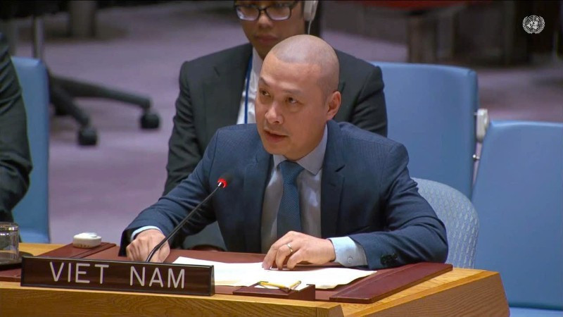 越南常驻联合国代表团临时代办阮黄原公使。