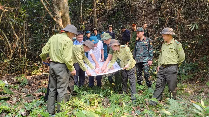 宣光省第一区森林保护单位同各职能部门和当地民众联合组织森林保护巡逻队，。