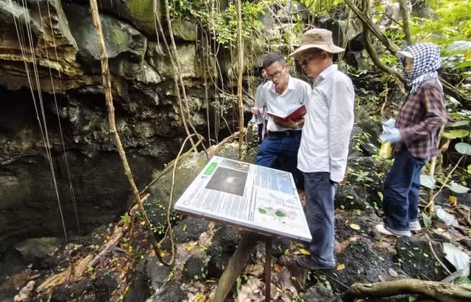 越南联合国教科文组织世界地质公园网络主席陈新文对火山洞穴系统进行考察。（图片来源：dantocmiennui.baotintuc.vn）