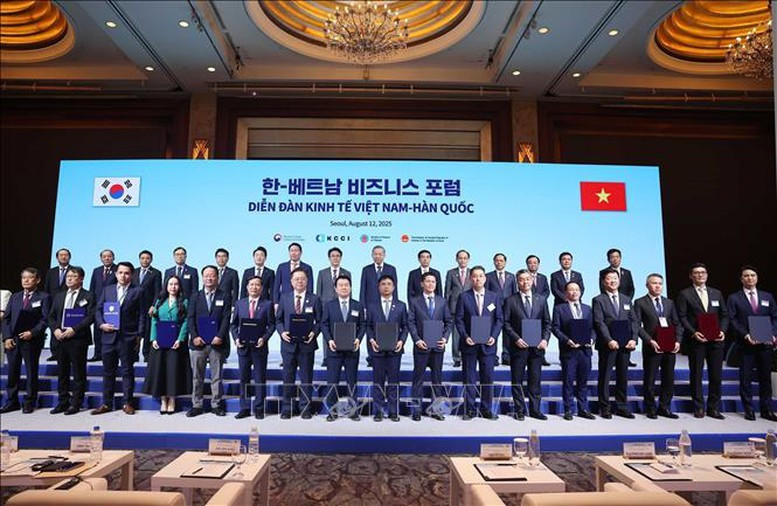 苏林总书记与韩国总理金民锡共同见证越韩双方交换多份双边合作文本。（图片来源：越通社）
