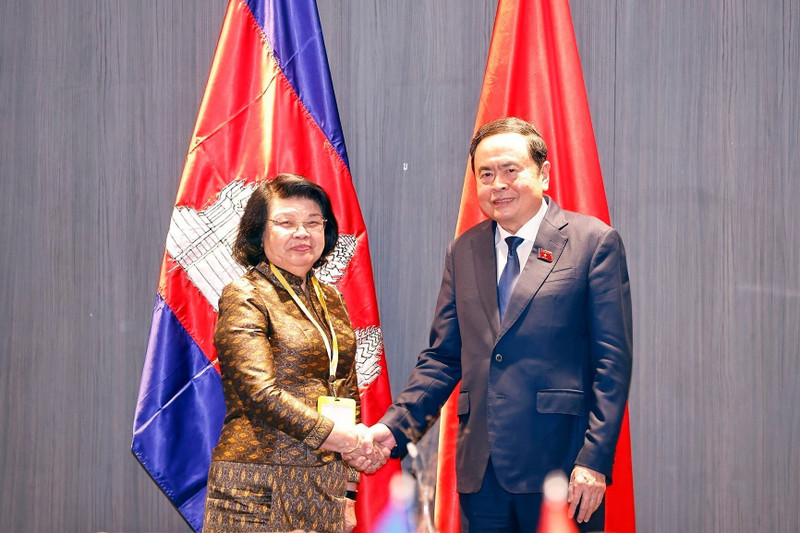 越南国会主席陈青敏会见柬埔寨国会主席昆索达莉。