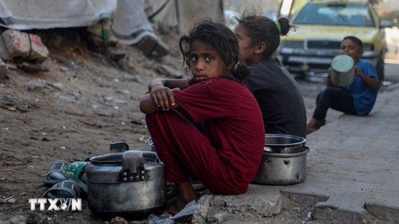 孩子们在加沙城等待领取食品援助。（图片来源：越通社）