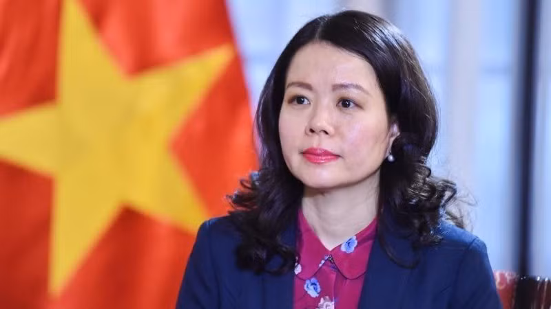 南外交部副部长阮明姮。