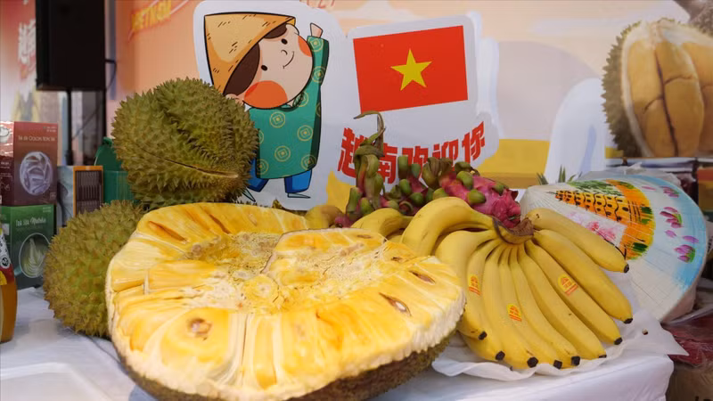 附图：越南榴莲在中国出售。