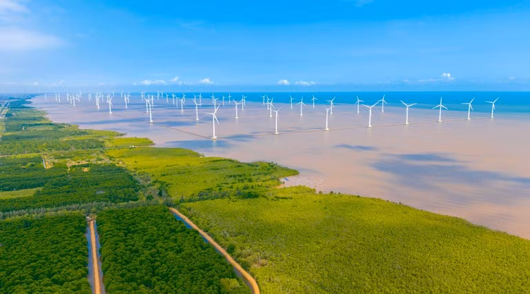 从风能和太阳能到绿色氢能和生物质能，所有这些都需要一个清晰、稳定且足够长远的政策框架，让投资者能够有信心“押注”未来。