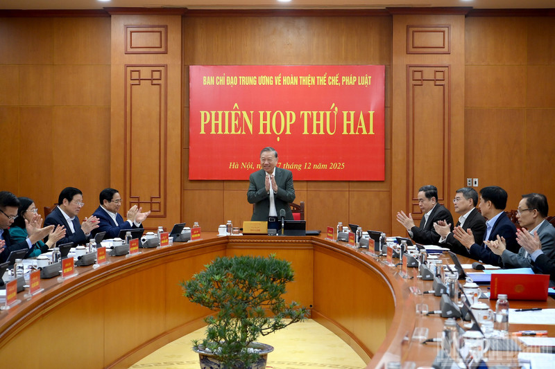 苏林总书记主持会议。