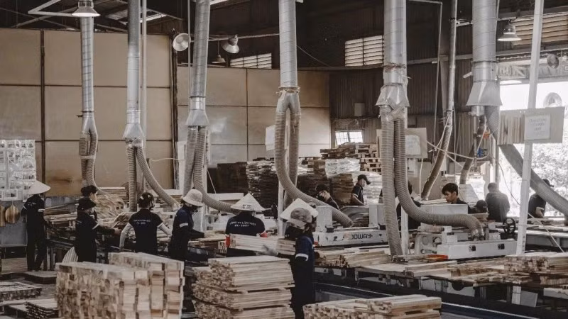 天绿进出口公司的木材生产活动。