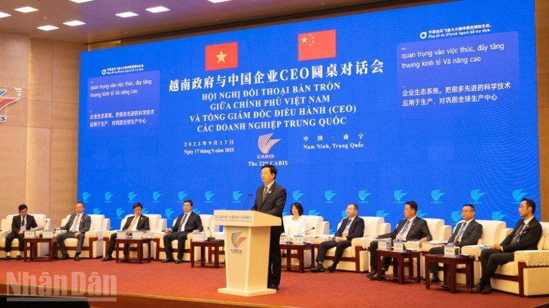 越南政府副总理梅文正发表讲话。