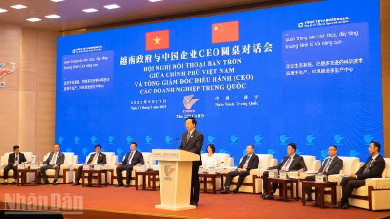 越南政府副总理梅文正发表讲话。