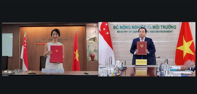 双方代表以线上方式签署关于落实《巴黎协定》第六条的协议。