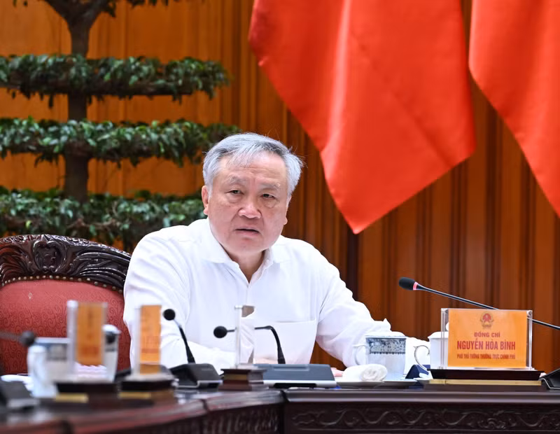 政府常务副总理阮和平发表讲话。