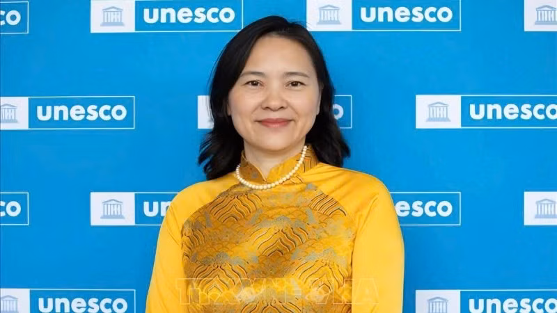 越南常驻联合国教科文组织代表阮氏云英大使。