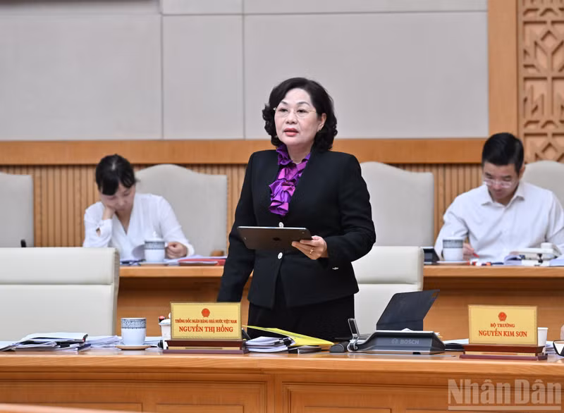 越南国家银行行长阮氏红女发表讲话。