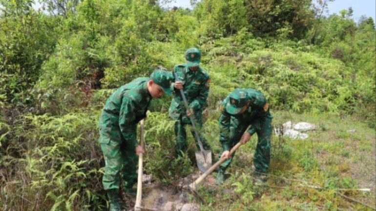边防部队同地方政府配合在龙鼓（Lũng Cú）乡边界线植树造林。