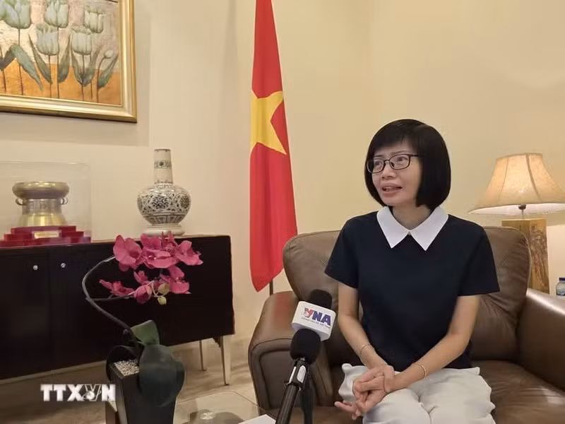 越南常驻东盟代表团团长孙氏玉香大使。（图片来源：越通社）