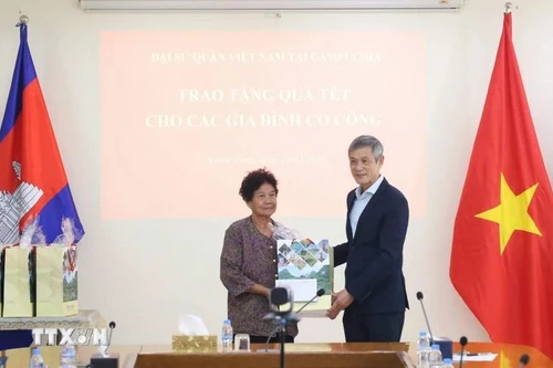 越南驻柬埔寨大使阮明宇向曾为抗美战争作出贡献、并于2009年荣获越南总理颁发的功绩证书的何氏娥女士赠送春节慰问品。（图片来源：越通社）