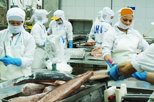 水产品是对美洲地区出口增长最为强劲的行业之一。（南英 摄）