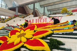 国际学者对越共十四大充满信心与期待【视频】