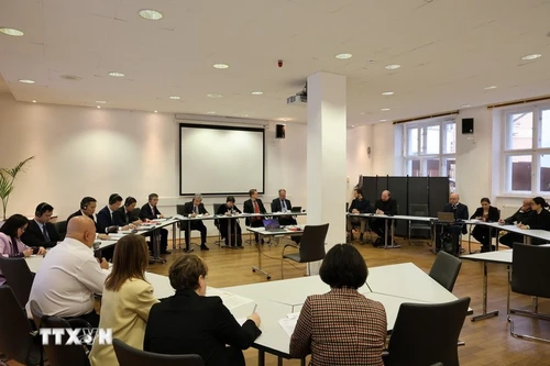 越南共产党与德国左翼党第六次政策对话场景。（图片来源：越通社）