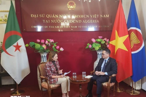 陈国庆大使接受阿尔及利亚Elbilad电视台的采访。（图片来源：越通社）