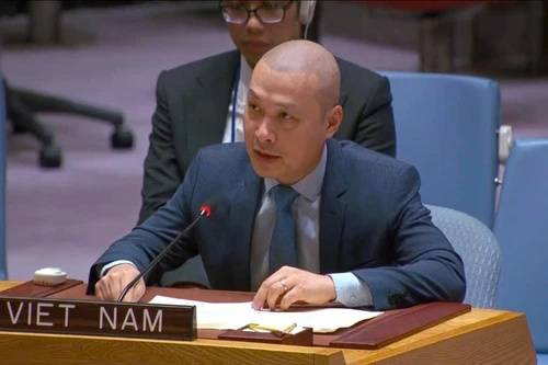 越南常驻联合国代表团临时代办阮黄原公使。