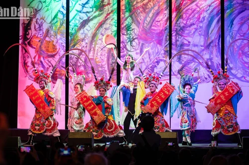 最具越南本色的文艺节目。