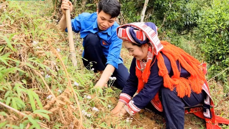 胡头乡战胜村群众积极响应补植山雪茶树启动仪式。