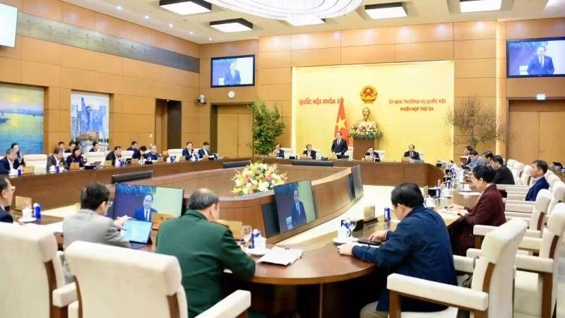国会常务委员会的任务与权限