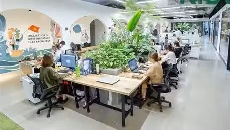 绿色办公趋势正日益普及。