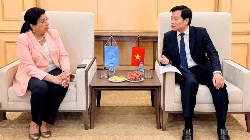越南与国际原子能机构在和平利用核能领域上加强合作