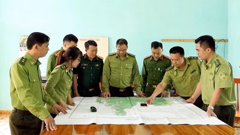 应用先进技术帮助护林干部检测疑似森林火灾热点，以便及时处理。