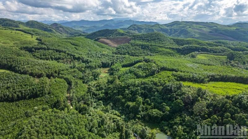 加快建设和运营碳信用市场