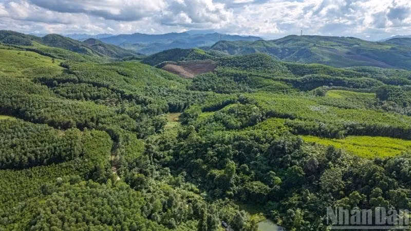 加快建设和运营碳信用市场