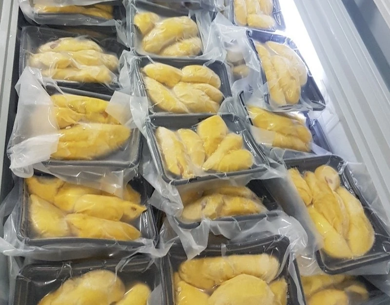 广西口岸首次从越南进口冷冻榴莲产品。（图片来源：tapchitaichinh.vn）