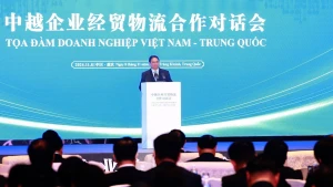 越南政府总理范明正出席越中企业家座谈会【组图】