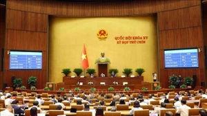 会议场面。（图片来源：越通社）