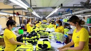 越南与印度开启纺织服装领域合作新篇章。（图片来源：越通社）