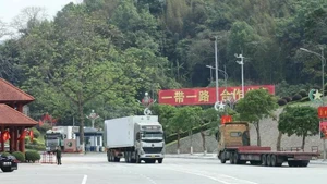 进出口货物通过谅山友谊国际口岸通关的运输车辆。（图片来源：越通社）