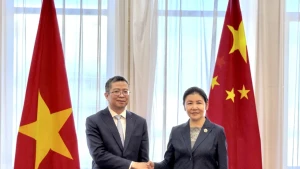 越南驻中国大使范青平和中国司法部部长贺荣。（图源：越通社）