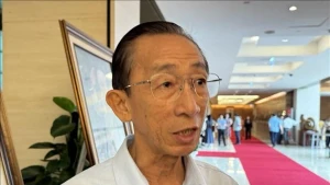 胡志明市代表陈黄银。（图片来源：越通社）