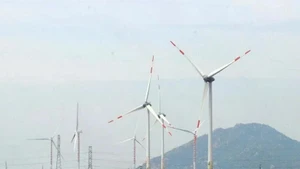 宁顺风电厂。（图片来源：越通社）