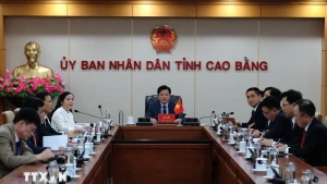 越南高平省人民委员会代表团。（图片来源：越通社）