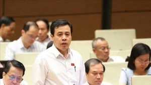 胡志明市国会代表陈英俊。（图片来源：越通社）