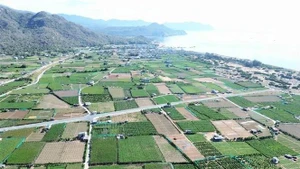 宁顺二号核电站位于宁海县永海乡泰安村。（图片来源：越通社）