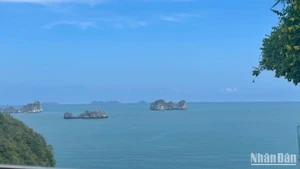 共同守护海洋生态系统。