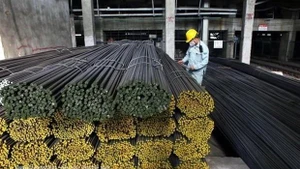 附图。（图片来源：越通社）