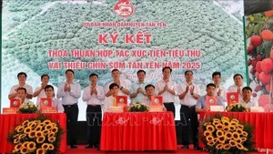关于推进2025年新安县早熟荔枝销售的合作谅解备忘录。（图片来源：越通社）