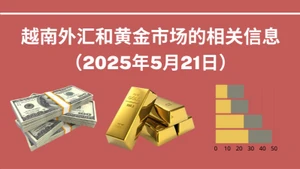 越南外汇和黄金市场的相关信息【图表新闻】